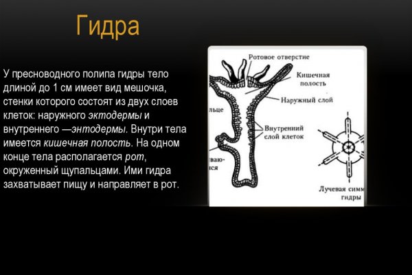 Как попасть на сайт мега мориарти